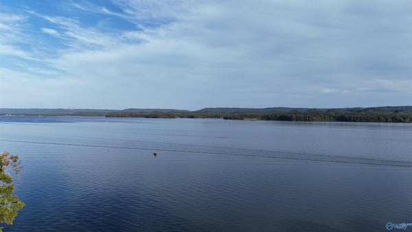 38 PINE ISLAND PT, SCOTTSBORO, AL 35769 - Image 1247e4982b946359ff24b24dc2edf78c/443405533
