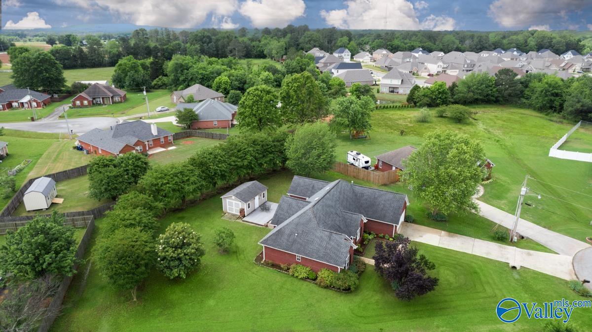 113 Smokey Quartz Drive, Madison, Alabama image 39