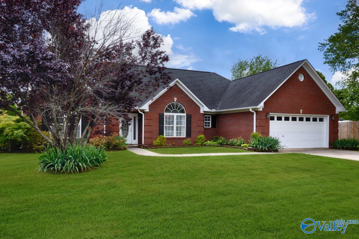 113 Smokey Quartz Drive, Madison, Alabama image 40