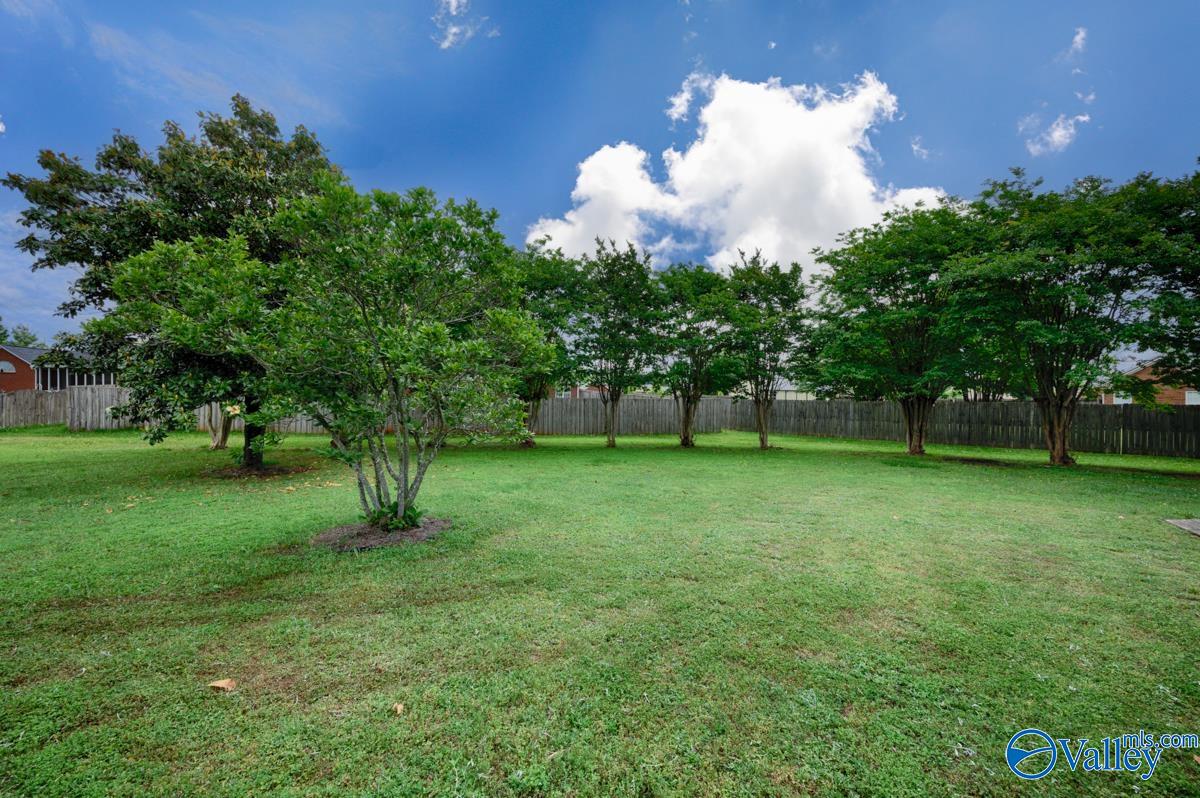 113 Smokey Quartz Drive, Madison, Alabama image 30