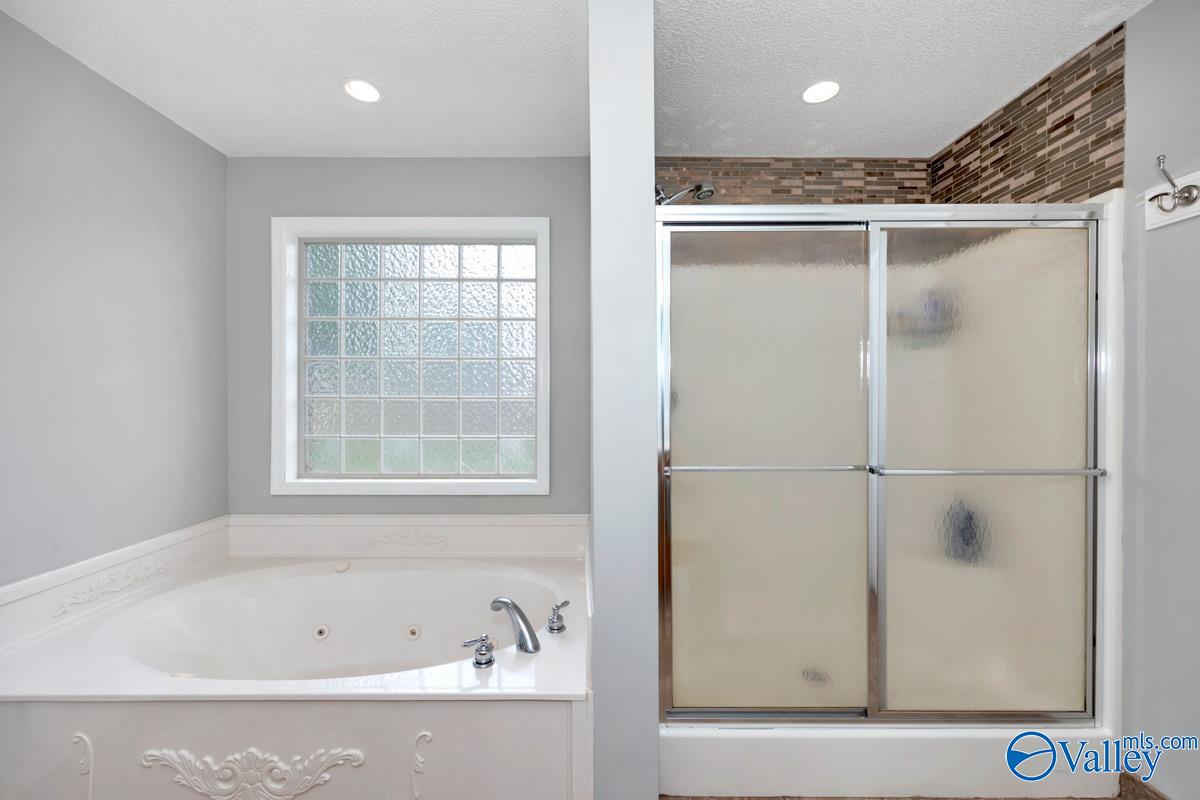 113 Smokey Quartz Drive, Madison, Alabama image 20