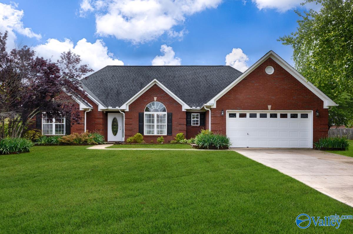 113 Smokey Quartz Drive, Madison, Alabama image 1