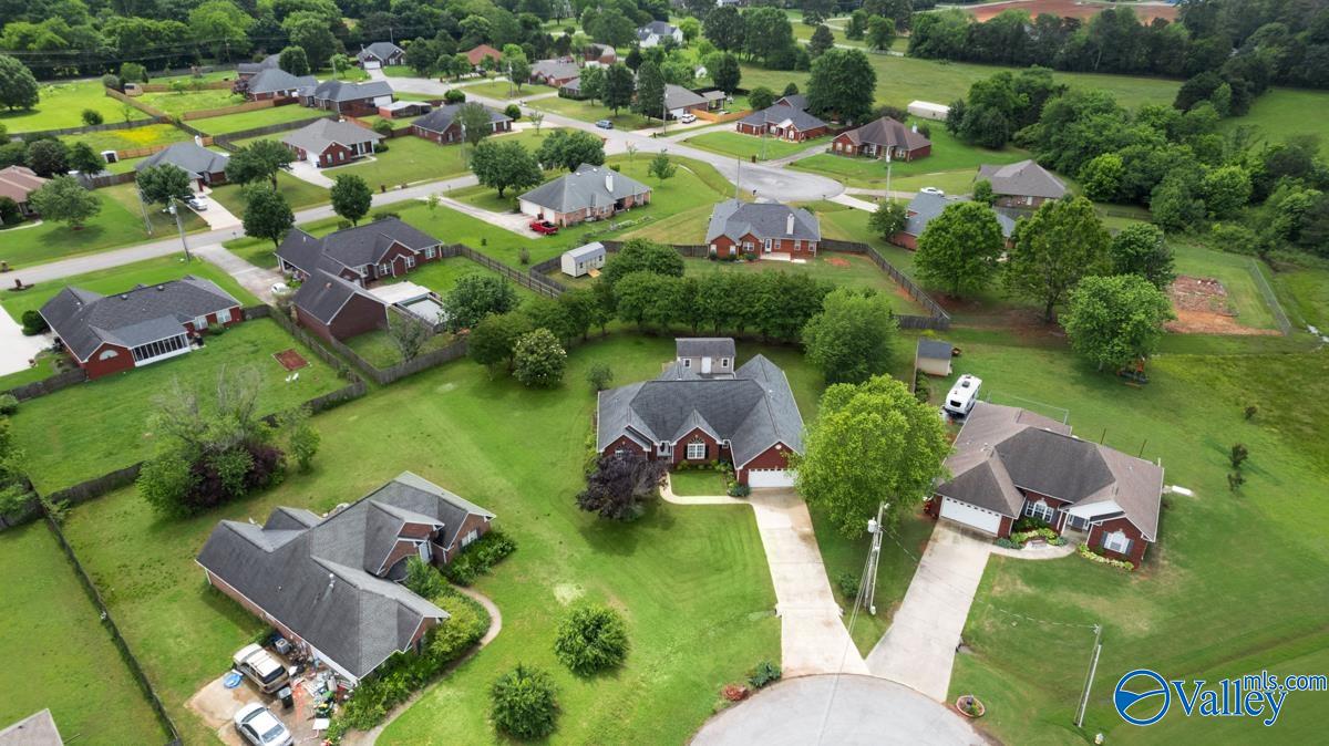 113 Smokey Quartz Drive, Madison, Alabama image 37