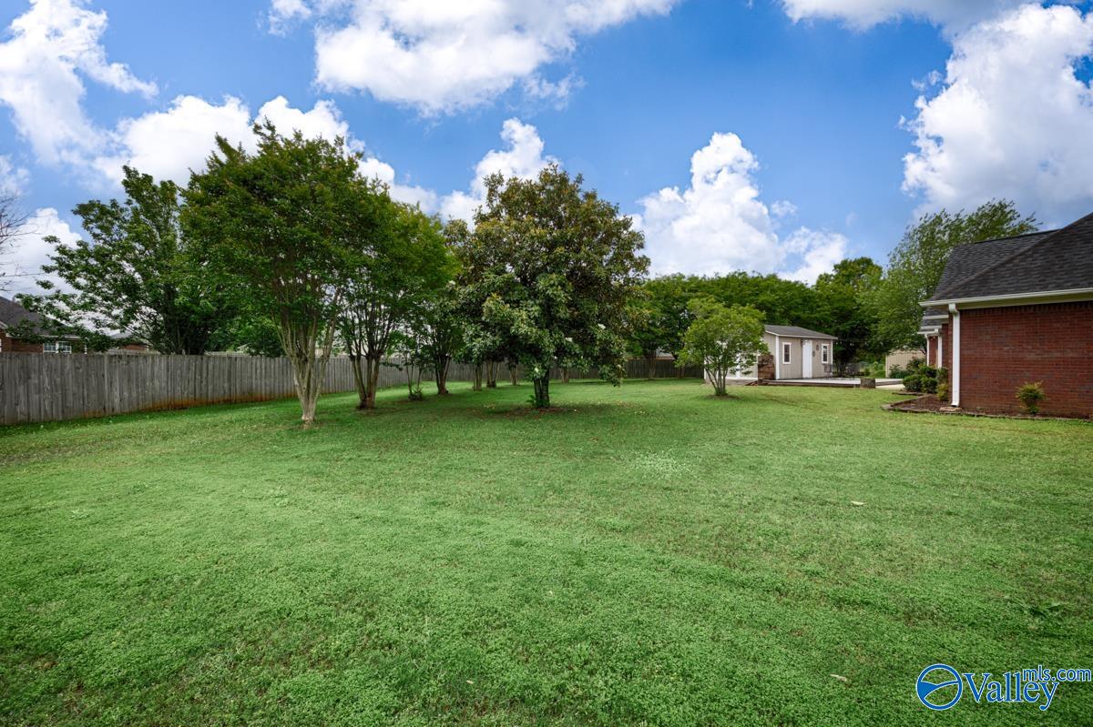 113 Smokey Quartz Drive, Madison, Alabama image 27
