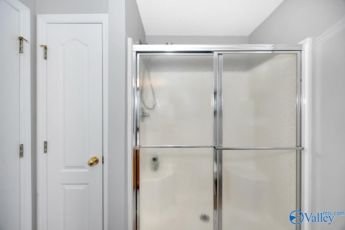 113 Smokey Quartz Drive, Madison, Alabama image 24