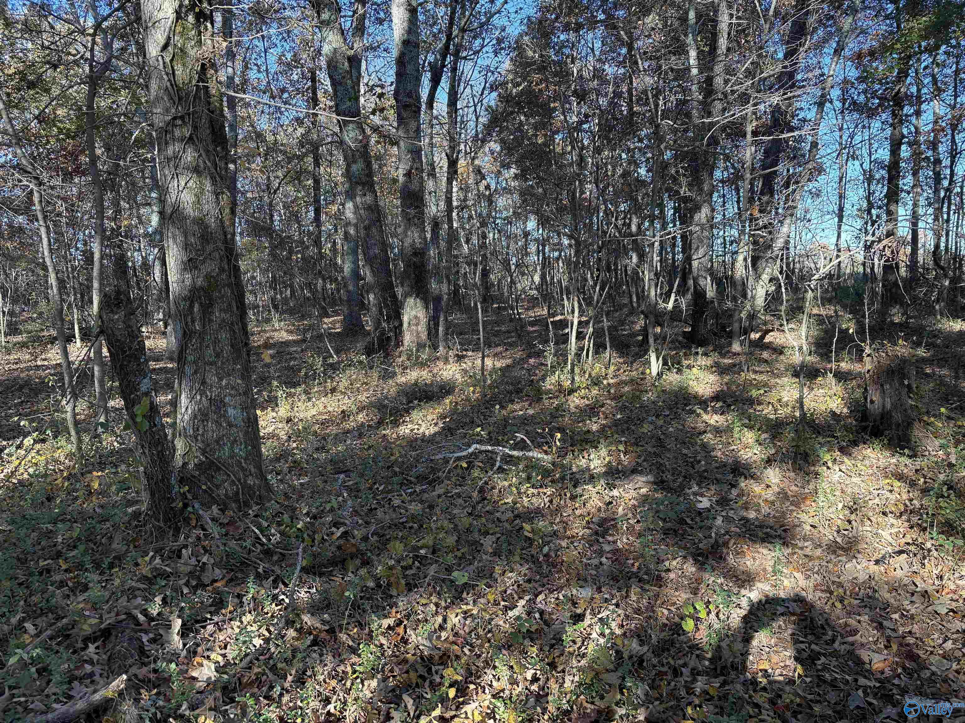 Hazel Green, Alabama 35750, United States, 3 Bedrooms Bedrooms, ,3 BathroomsBathrooms,Residential,Active,242758