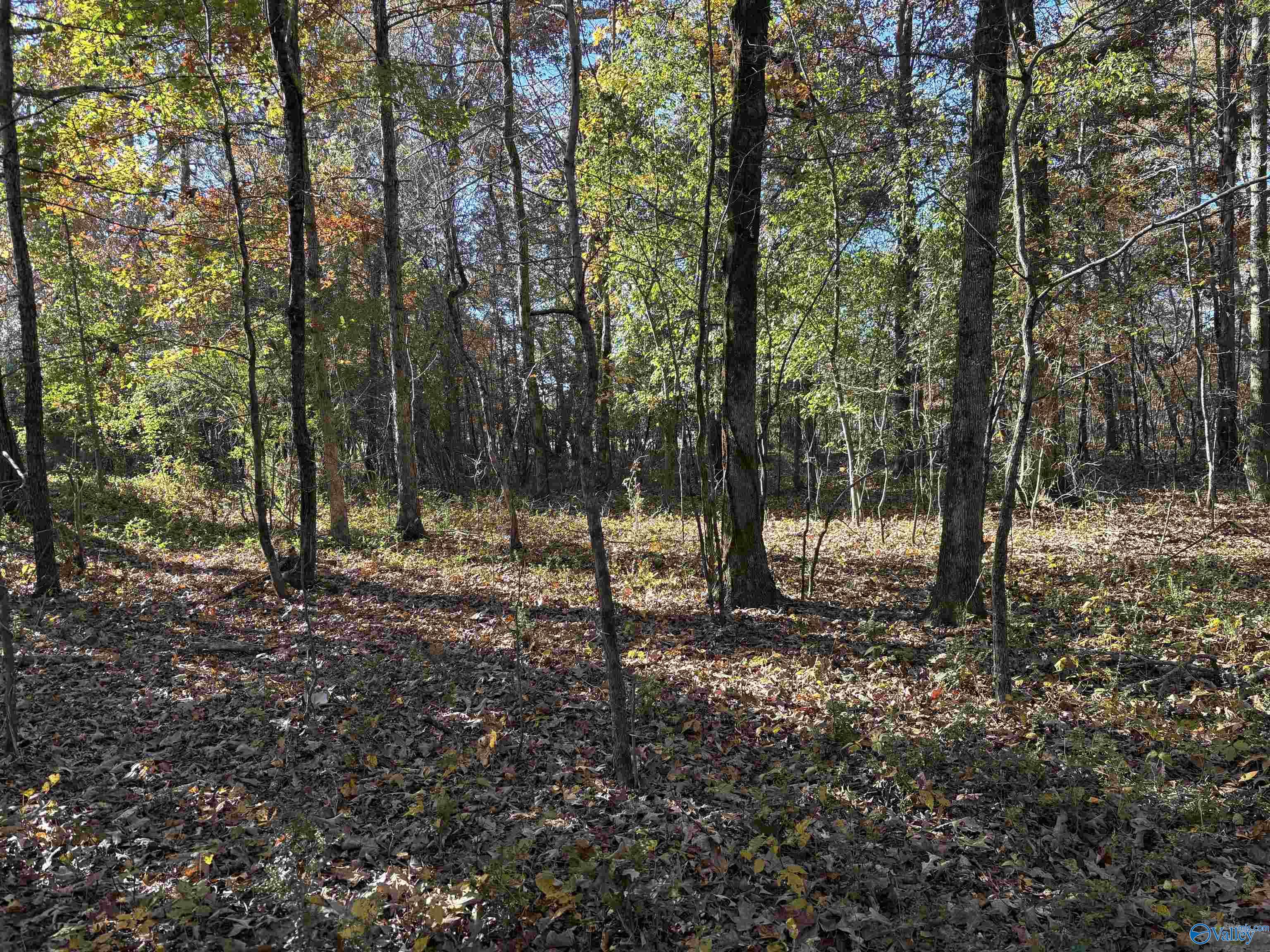 Hazel Green, Alabama 35750, United States, 3 Bedrooms Bedrooms, ,3 BathroomsBathrooms,Residential,Active,242758