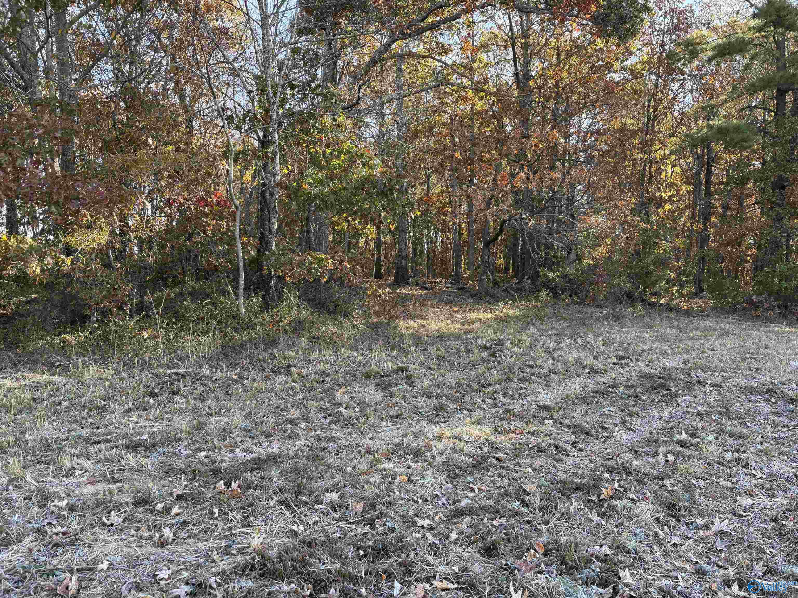 Hazel Green, Alabama 35750, United States, 3 Bedrooms Bedrooms, ,3 BathroomsBathrooms,Residential,Active,242758