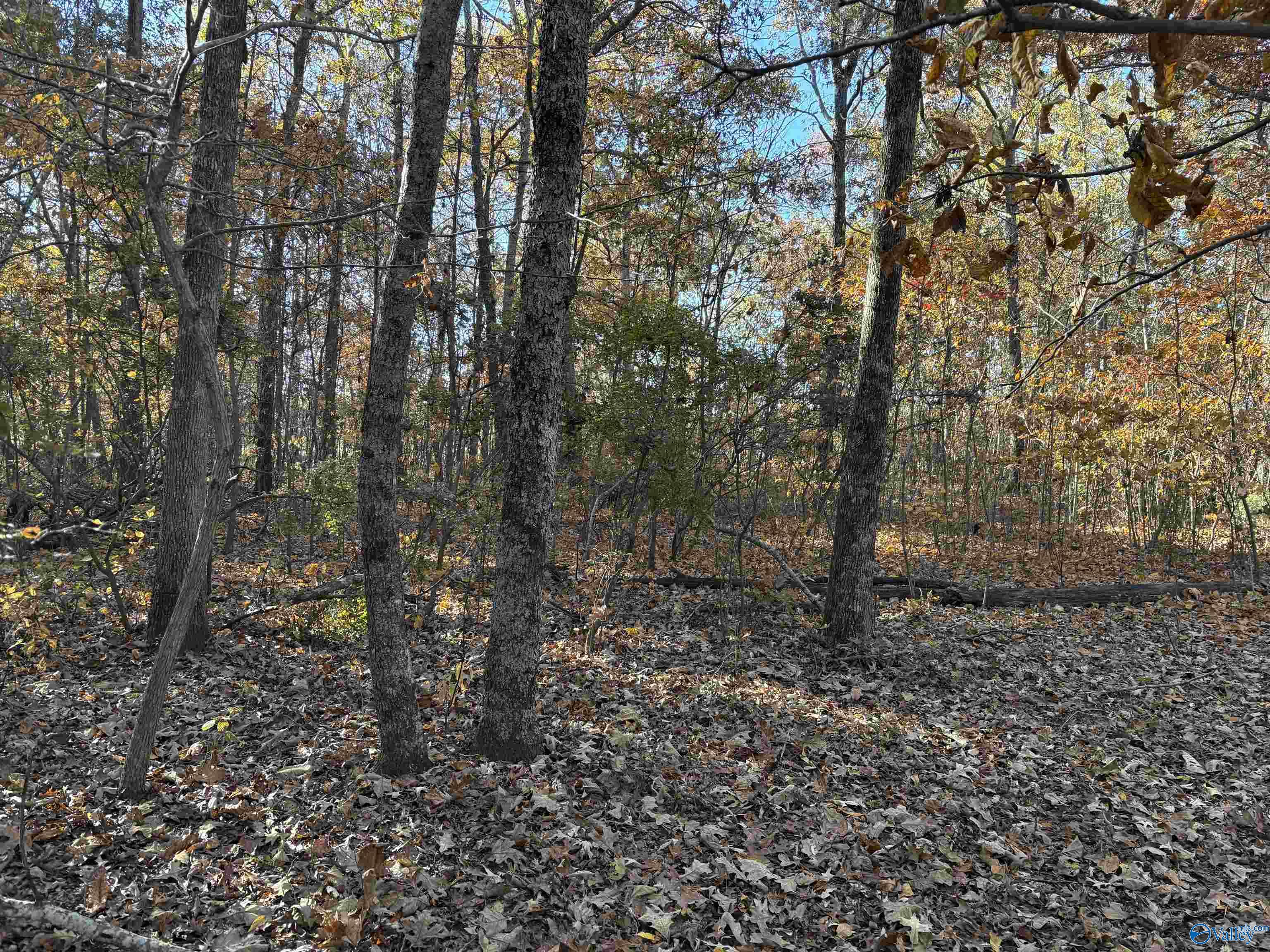 Hazel Green, Alabama 35750, United States, 3 Bedrooms Bedrooms, ,3 BathroomsBathrooms,Residential,Active,242758