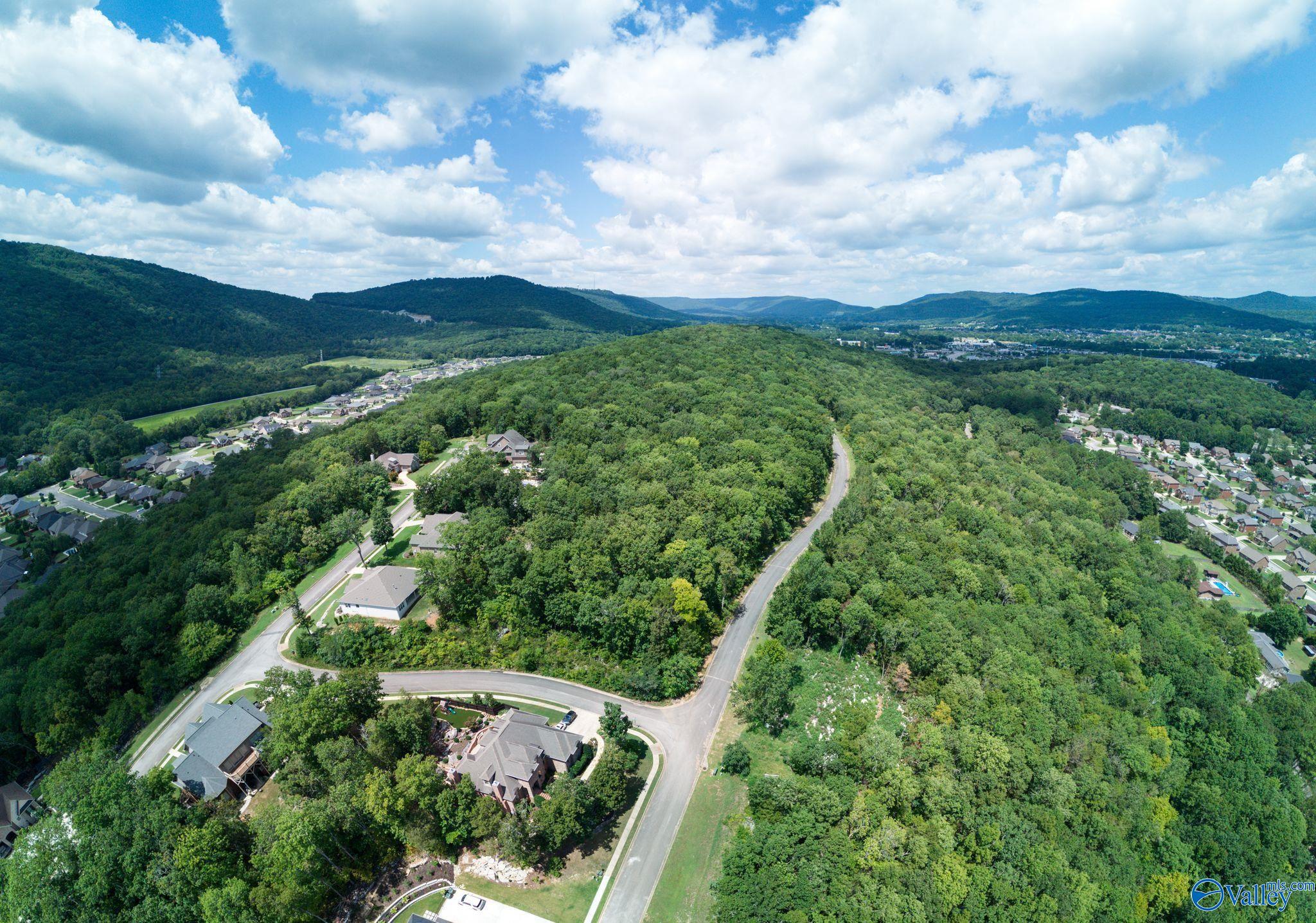 7024 Ridge Crest Road #LOT 35, Owens Cross Roads, Alabama image 3