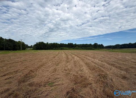Vacant Land For Sale - 7.80 AC Pleasant Hill Road<br/> Guntersville, AL 35976