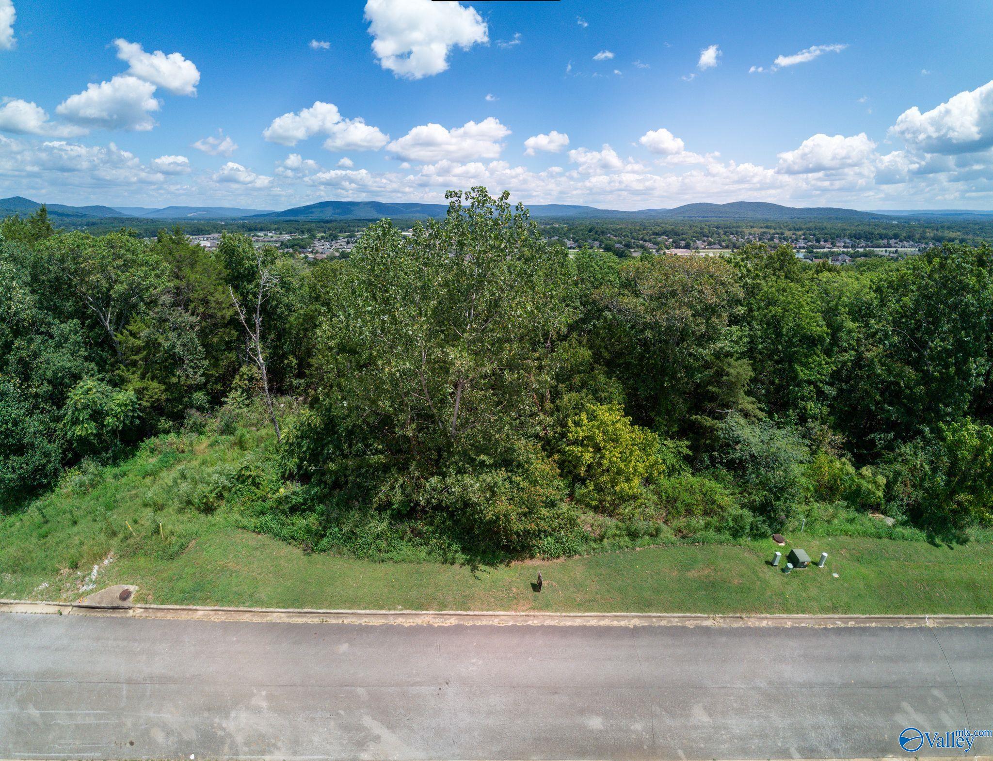 7019 Ridge Crest Road #LOT 45, Owens Cross Roads, Alabama image 32