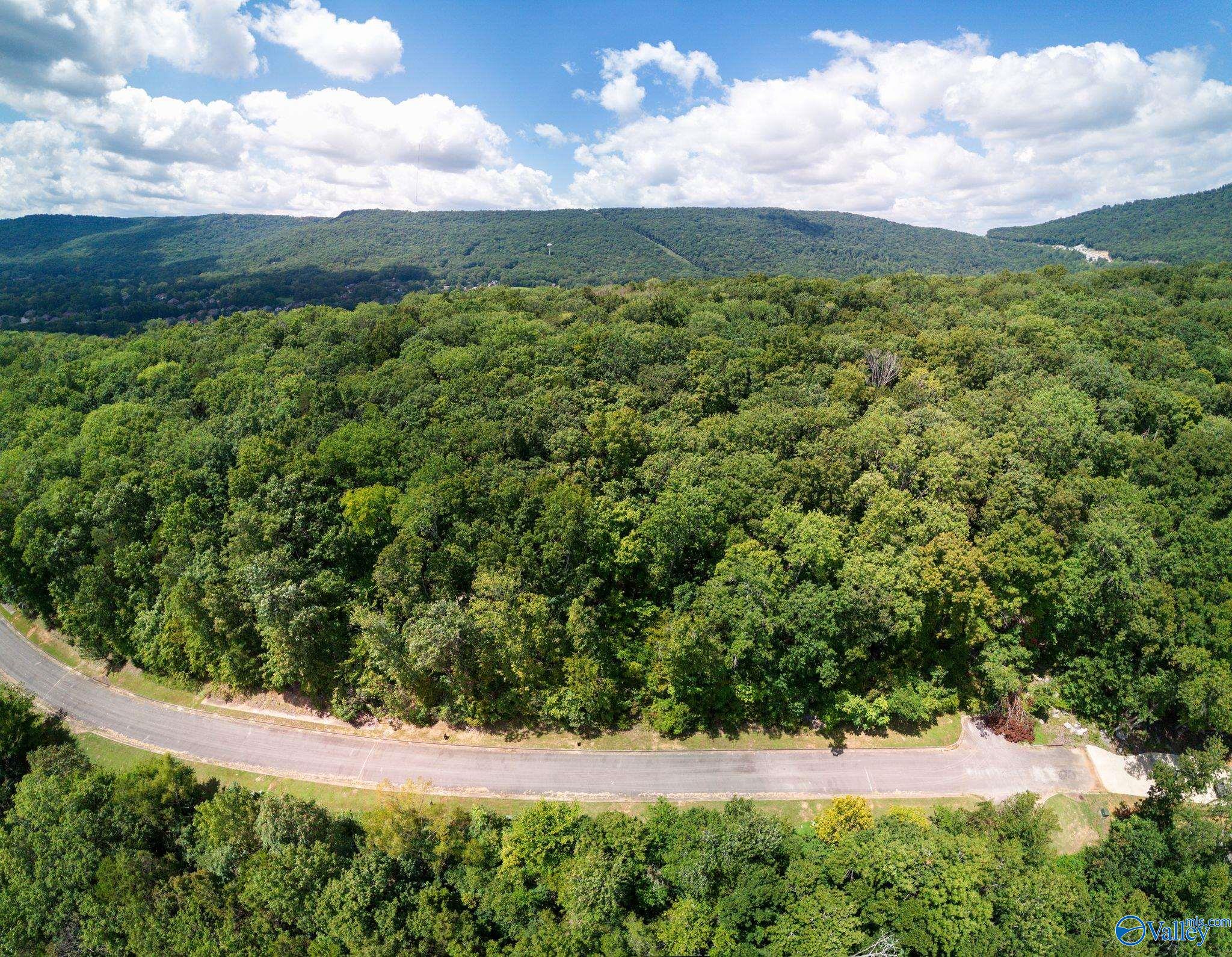 7019 Ridge Crest Road #LOT 45, Owens Cross Roads, Alabama image 9