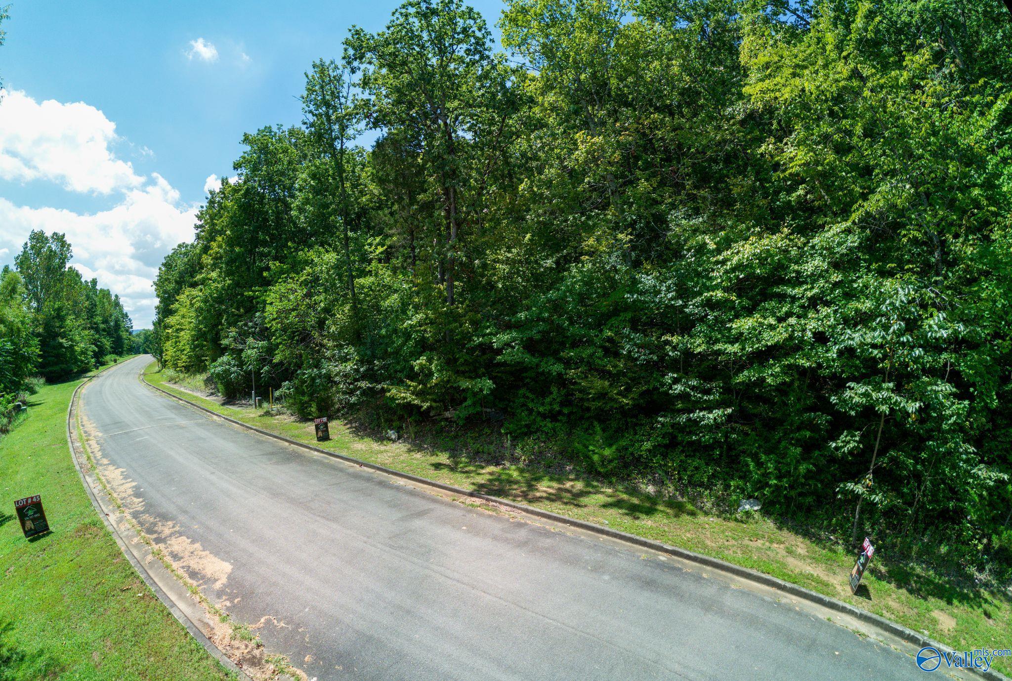 7019 Ridge Crest Road #LOT 45, Owens Cross Roads, Alabama image 17