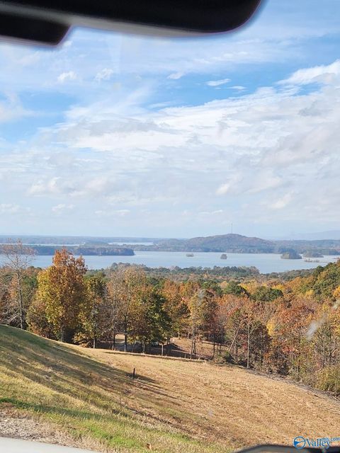 Vacant Land For Sale - LOT#24 County Road 767 #24<br/> Cherokee County, Cedar Bluff, AL 35959