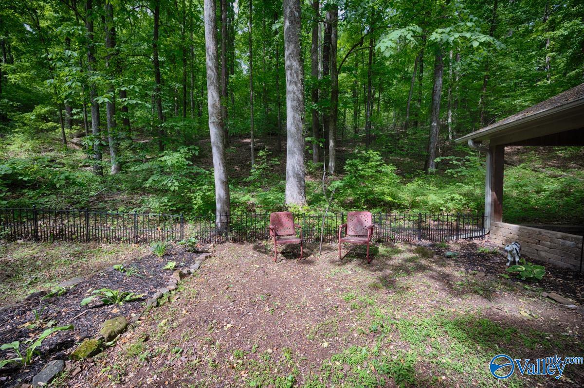 126 SE Catherine Drive, Owens Cross Roads, Alabama image 6