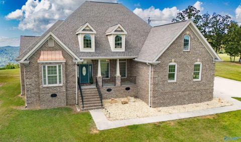 Homes For Sale - 201 Legendary Drive<br/> Guntersville, AL 35976