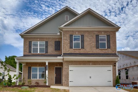Vacant Land For Sale - 106 Khloiey Hopes Lane<br/> New Market, AL 35761