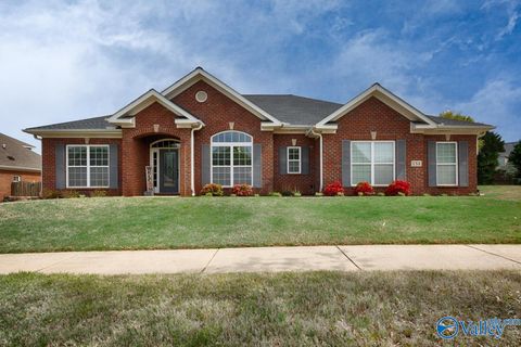 Homes For Sale - 134 Mill Park Lane<br/> Madison, AL 35758