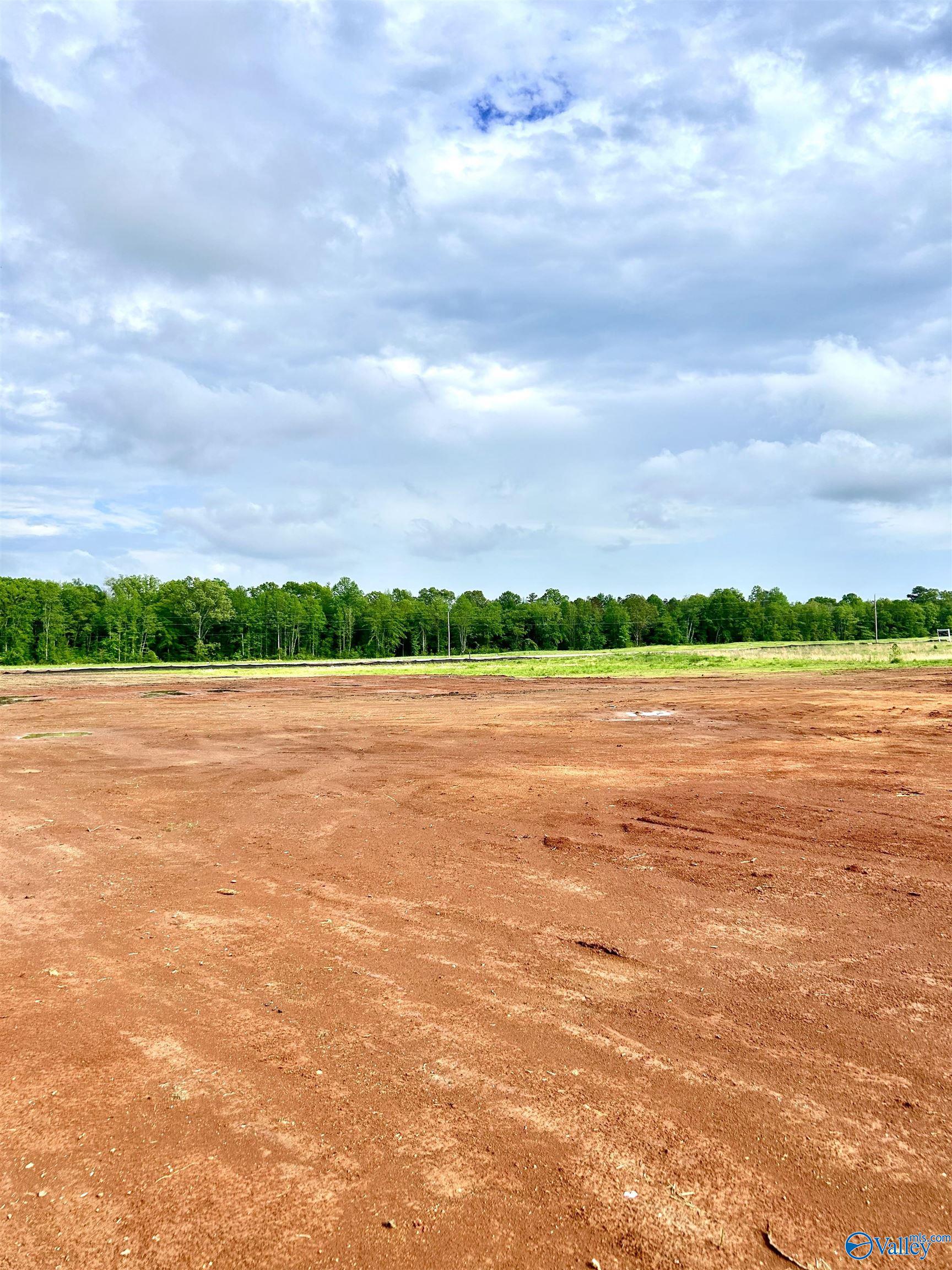 Tract 19 Hays Mill Road, Elkmont, Alabama image 5