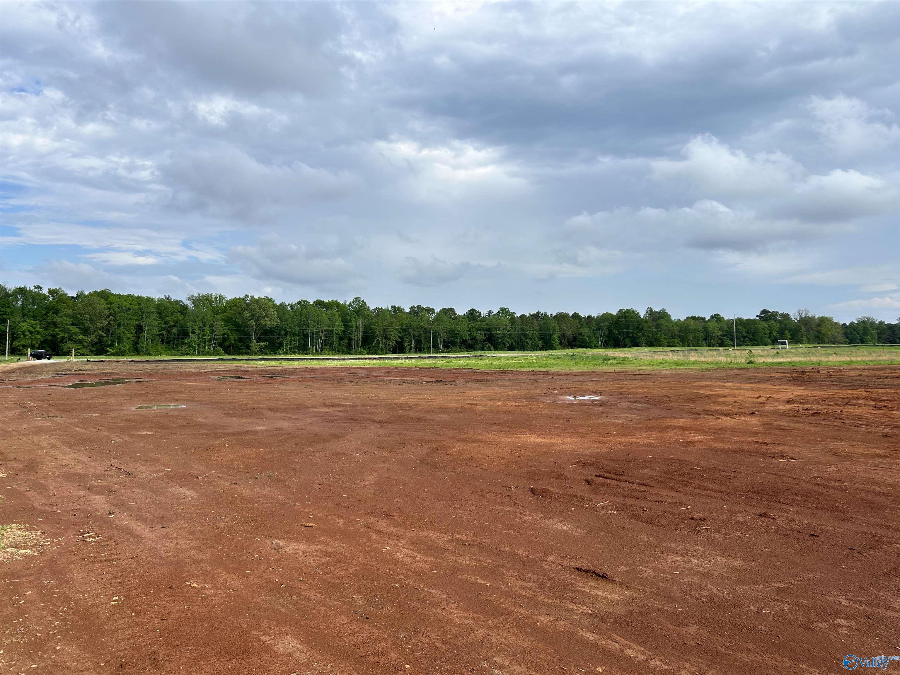 Tract 19 Hays Mill Road, Elkmont, Alabama image 6