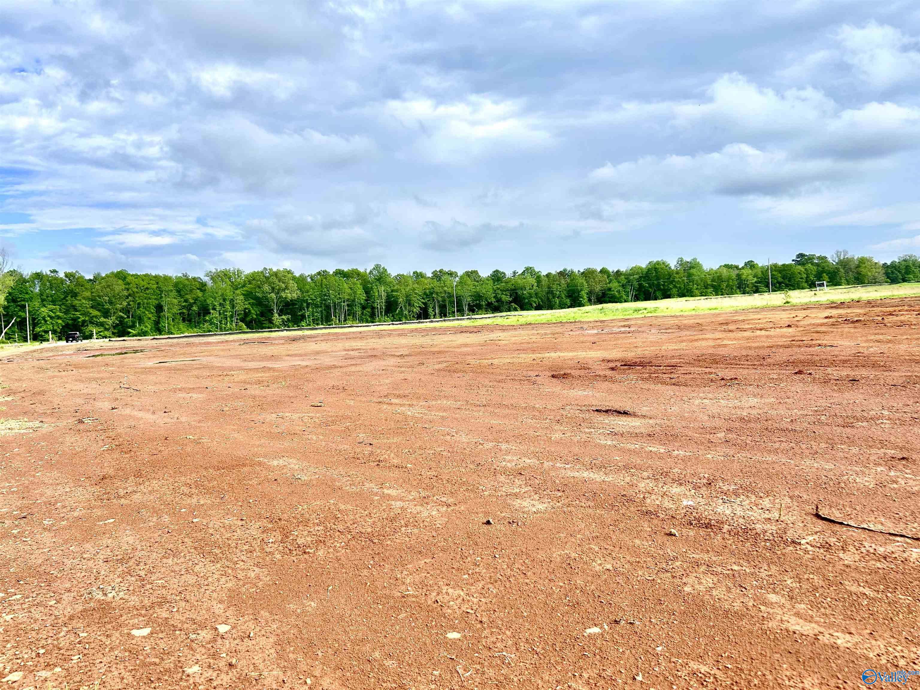 Tract 19 Hays Mill Road, Elkmont, Alabama image 3