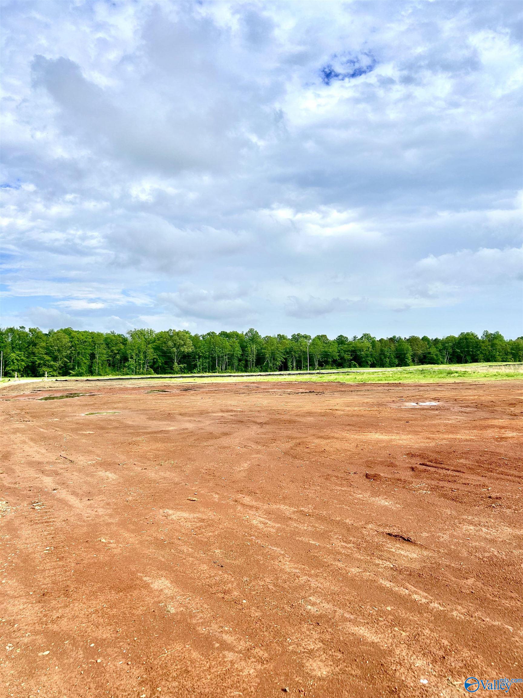 Tract 19 Hays Mill Road, Elkmont, Alabama image 4