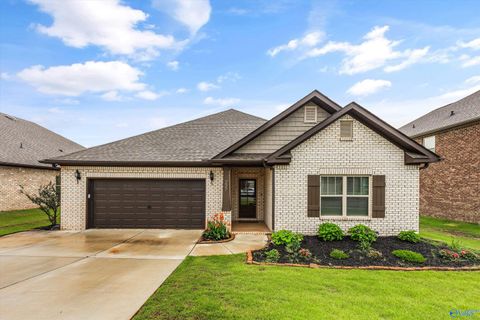 Homes For Sale - 227 Paladin Street<br/> New Market, AL 35761