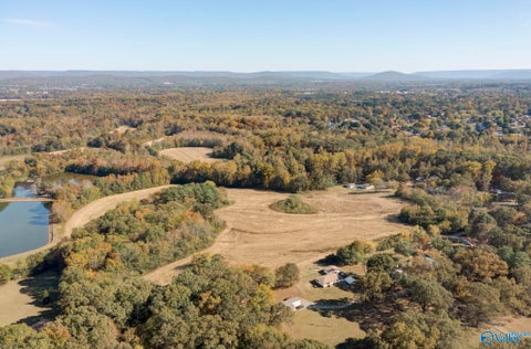 Vacant Land For Sale - 1851970 Little Lones Road<br/> Huntsville, AL 35811