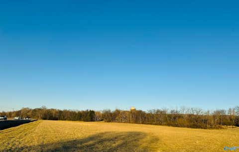 Vacant Land For Sale - 203 Moe Road<br/> Madison County, New Market, AL 35761