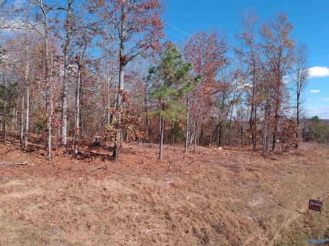 Vacant Land For Sale - 56 Raymond Lane<br/> Southside, AL 35907