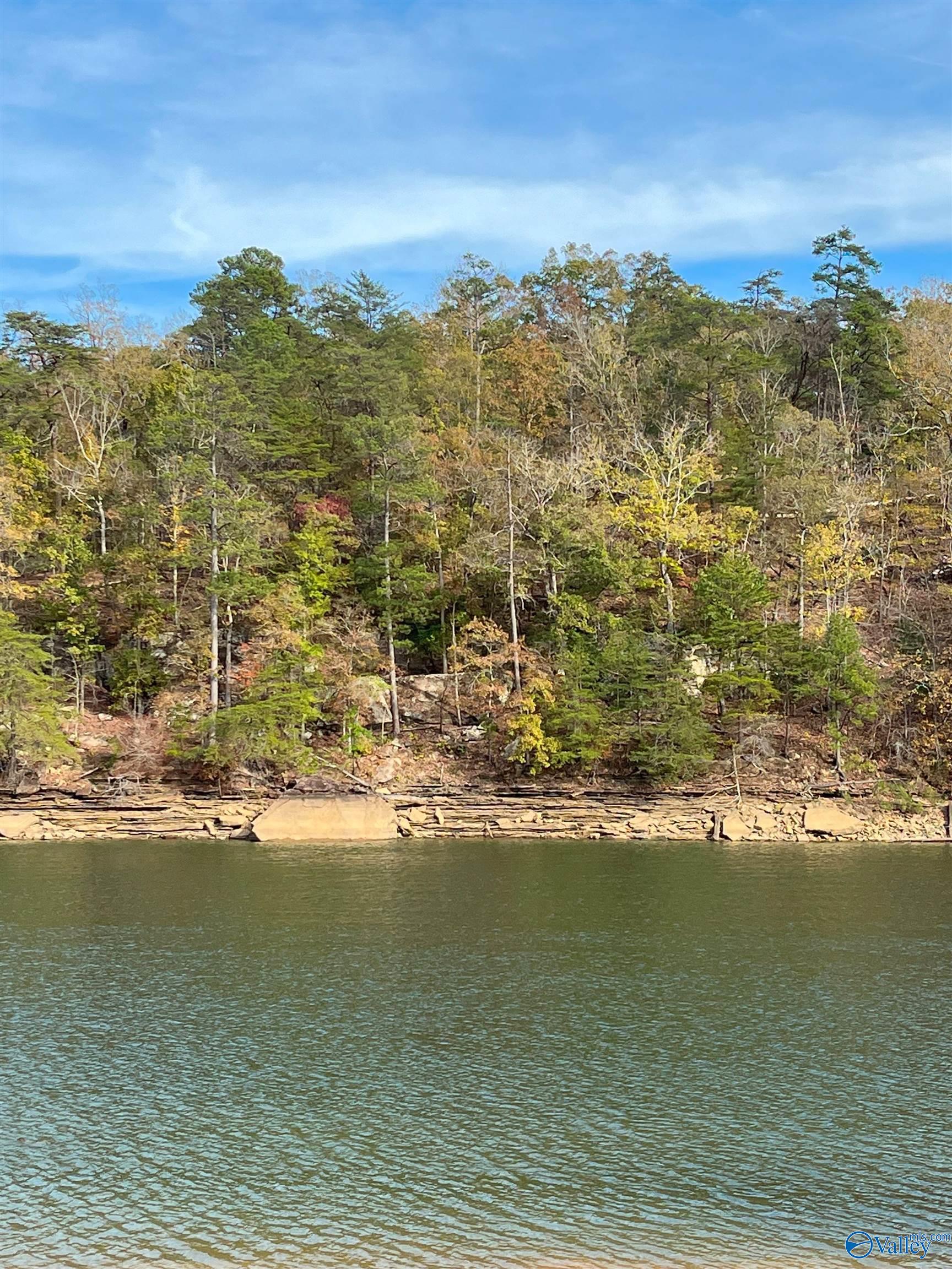 Lot 29 Shoreside Drive, Double Springs, Alabama image 6