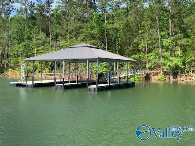 Lot 29 Shoreside Drive, Double Springs, Alabama image 10