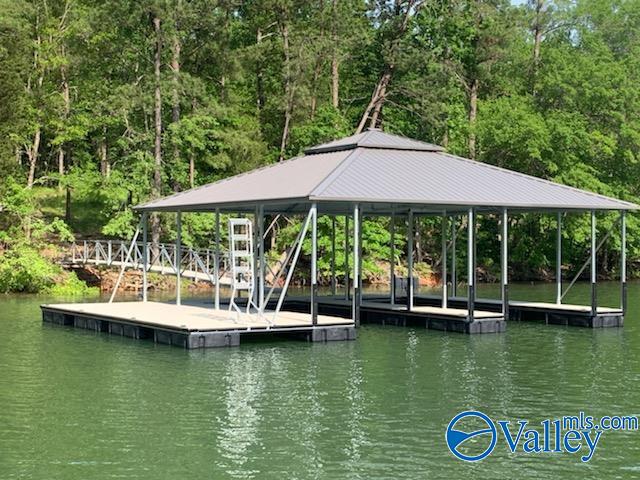 Lot 29 Shoreside Drive, Double Springs, Alabama image 11