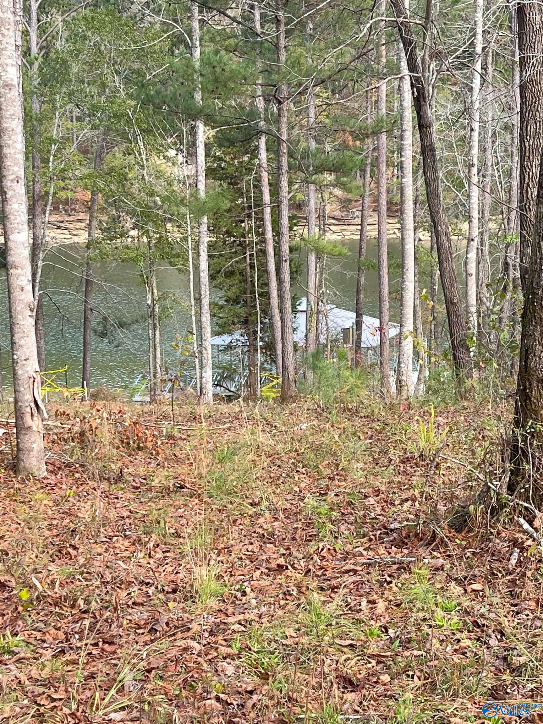 Lot 29 Shoreside Drive, Double Springs, Alabama image 4