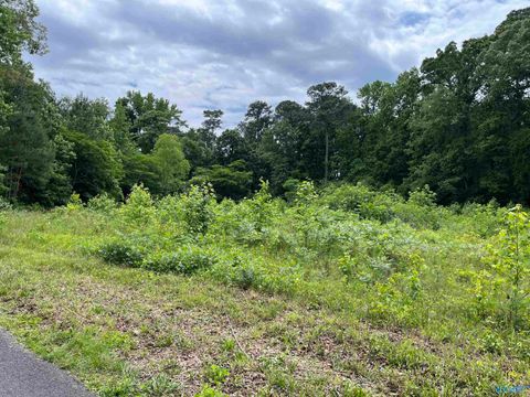 Vacant Land For Sale - LOT #13 Country Cove Road<br/> Crossville, AL 35962