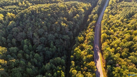 Vacant Land For Sale - 15 AC Al Highway 69<br/> Cullman County, Cullman, AL 35057
