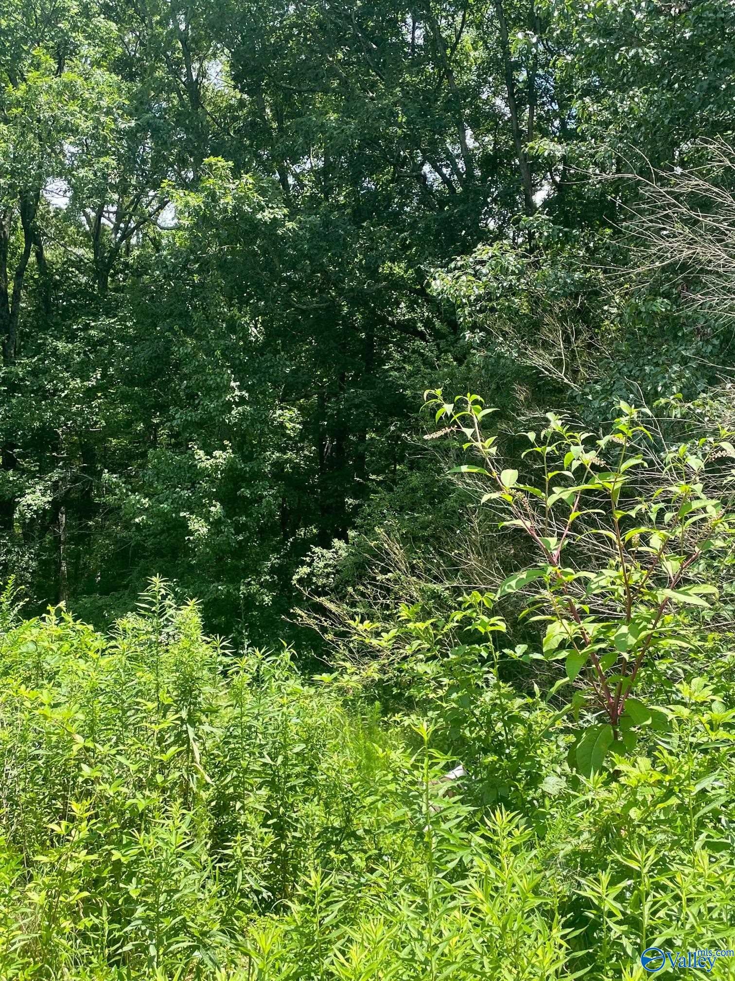 8 ACRES County Road 1196