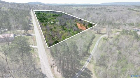 Vacant Land For Sale - #0 Hwy 23<br/> Saint Clair County, Ashville, AL 35953