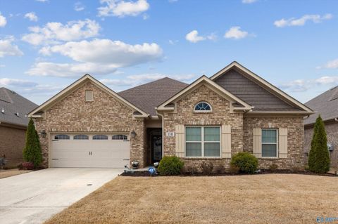 Photo of 110 Summer Walk Lane, Harvest, AL 35749 (MLS # 21911379)