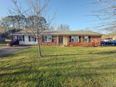 Homes For Sale - 316 SW Clearview Street<br/> Morgan County, Decatur, AL 35601