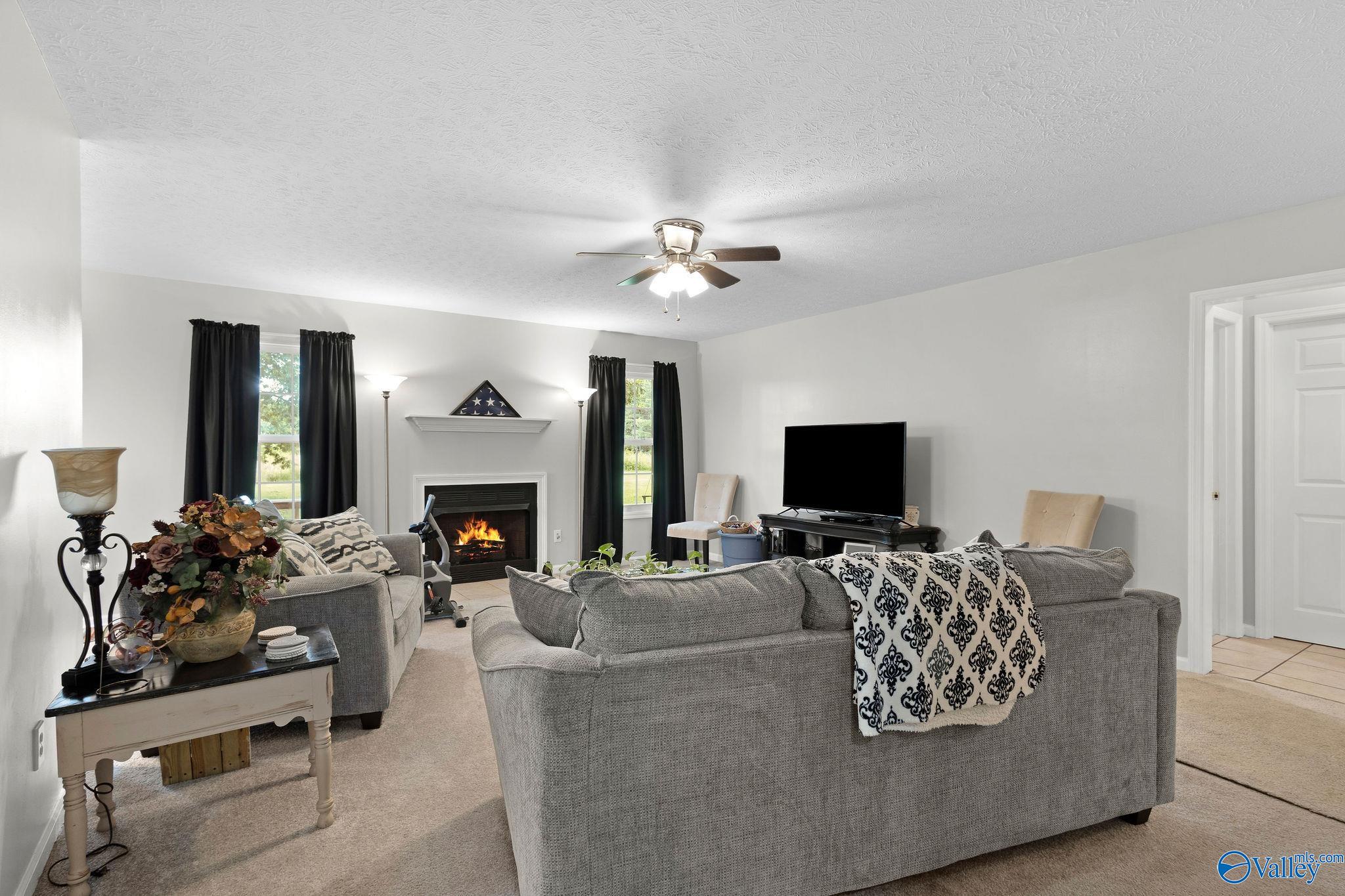 14249 Parker Road, Athens, Alabama image 3