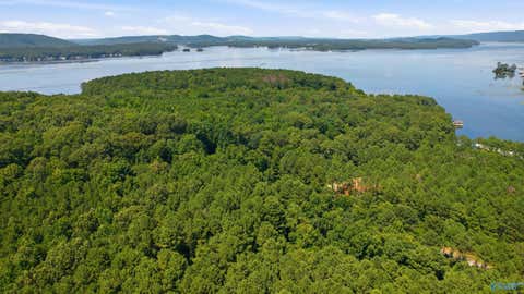 Vacant Land For Sale - 540 John Cabaniss Road<br/> Jackson County, Langston, AL 35755