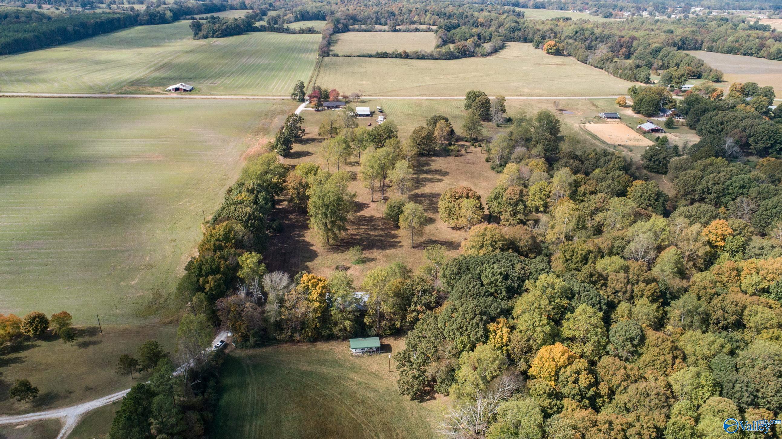 01 Teddy White Road, Lexington, Alabama image 11