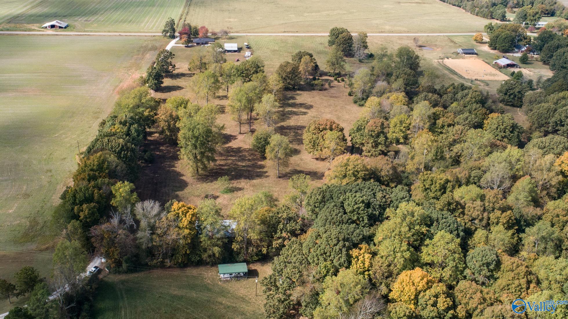 01 Teddy White Road, Lexington, Alabama image 9