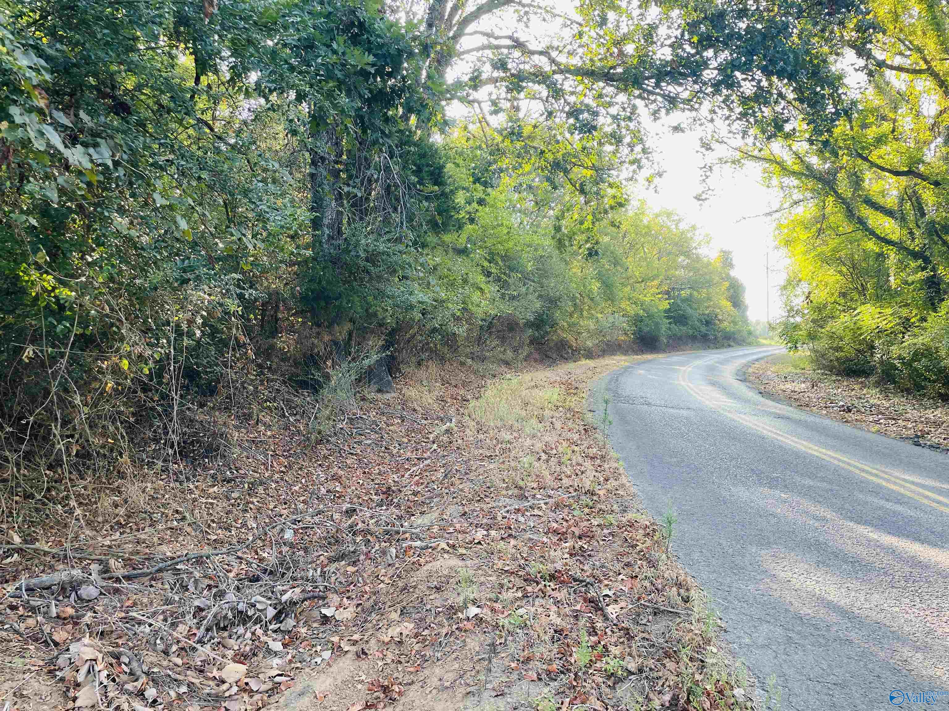 5ac County Road 81, Flat Rock, Alabama image 13