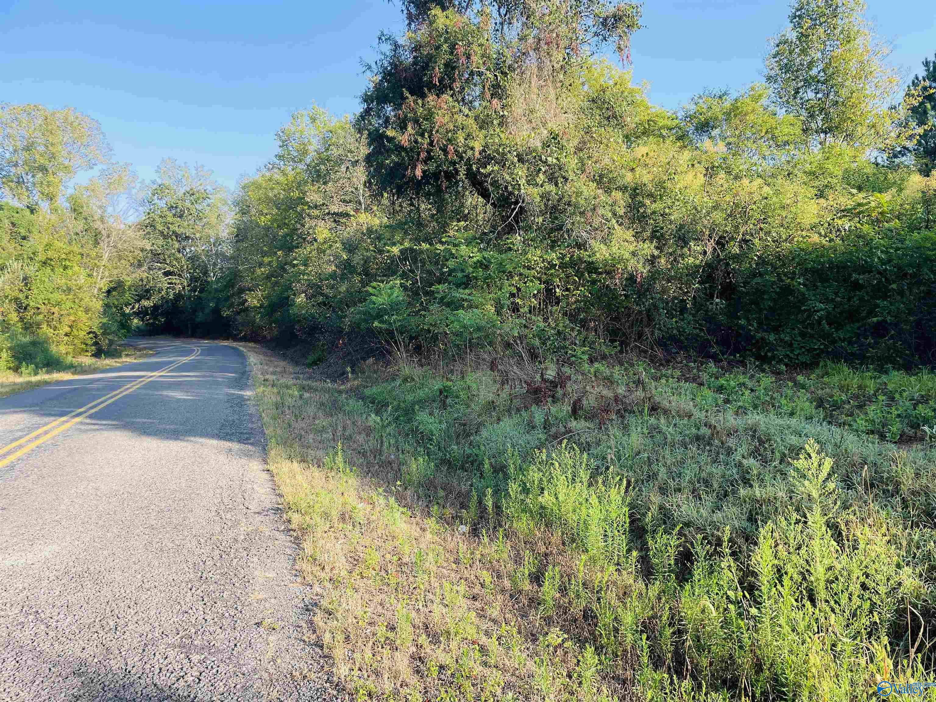 5ac County Road 81, Flat Rock, Alabama image 10