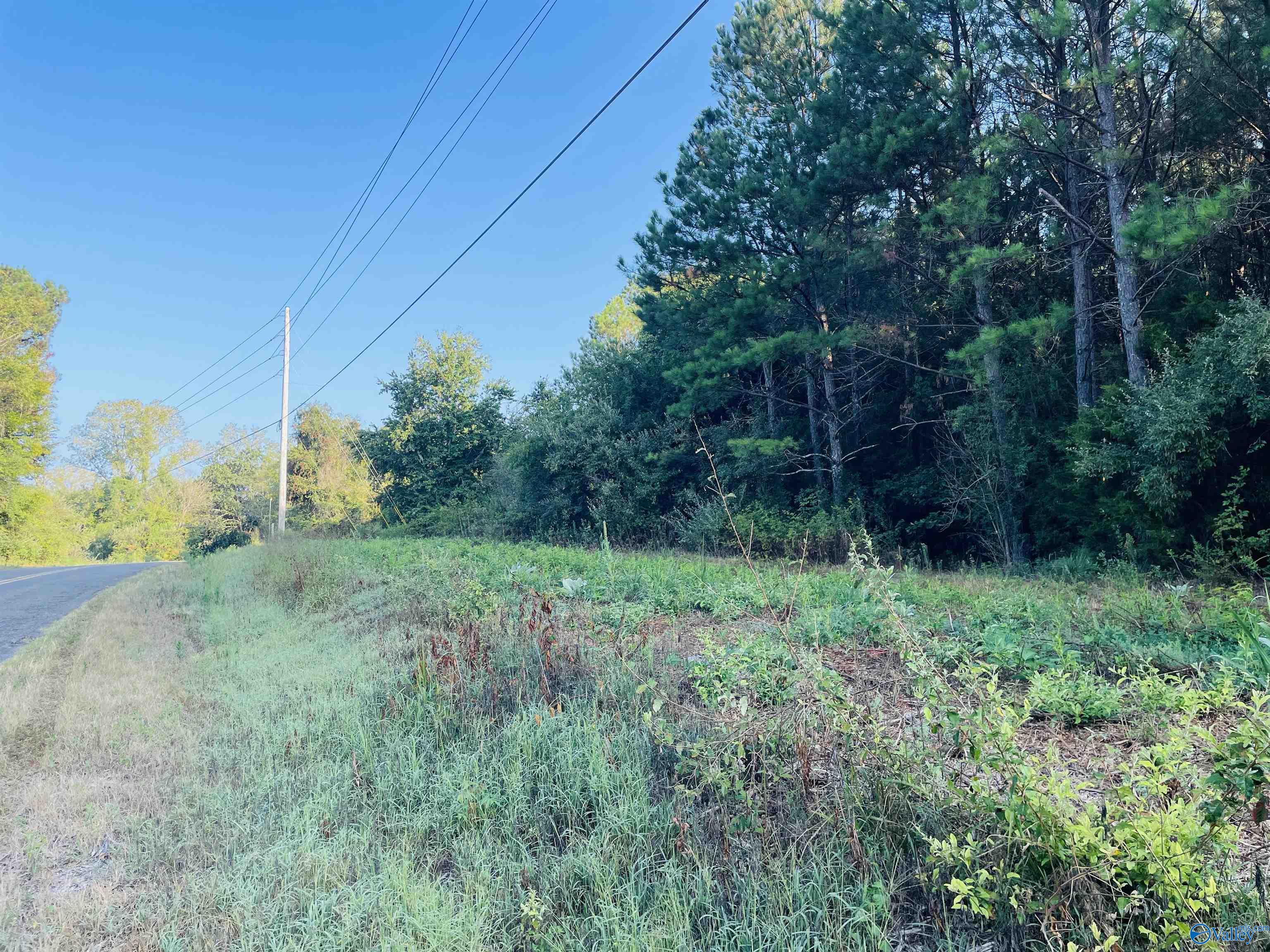 5ac County Road 81, Flat Rock, Alabama image 1