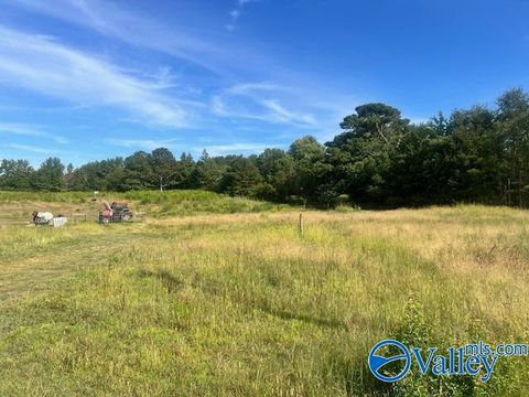 Vacant Land For Sale - 315B Misty Lane<br/> Etowah County, Boaz, AL 35956