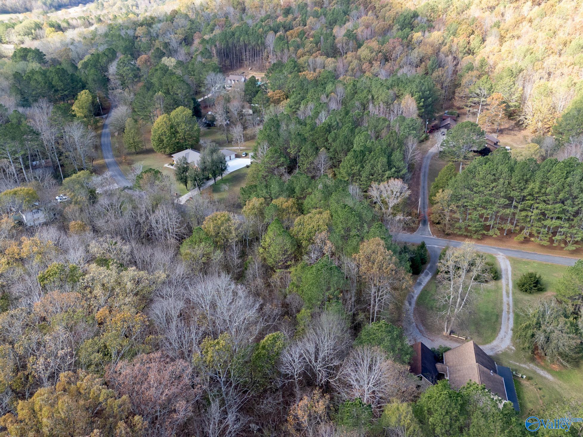 3 Acres Ashley Drive, Grant, Alabama image 8